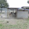 kennels