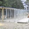 Kennels